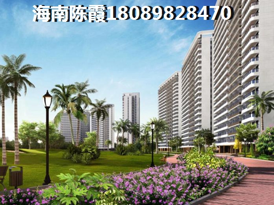 万成·红树林